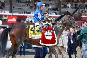 Image post by @godolphin on Instagram