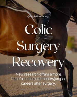 Image post by @theplaidhorsemag on Instagram