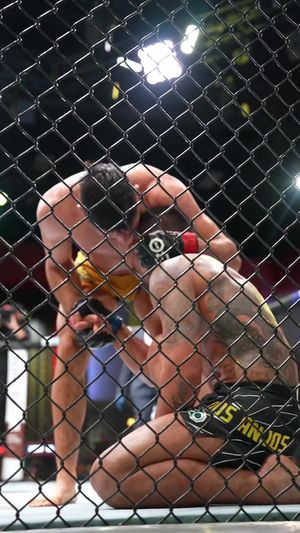 Video post by @ufc on TikTok