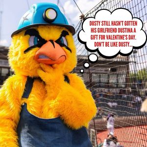Image post by @dirtybirdscwv on Instagram