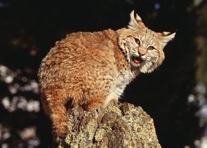 Image post by @yourvalley on Instagram