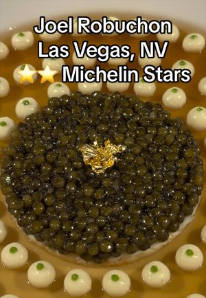 Video post by @highspeeddining on TikTok