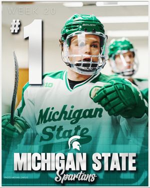 Image post by @everythingcollegehockey on Instagram