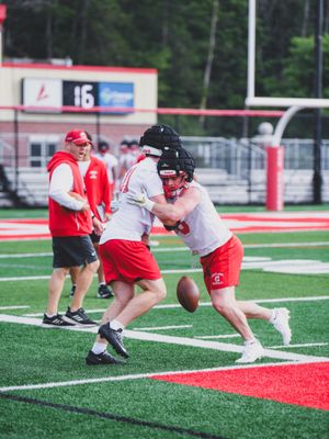 Image post by @cortlandreddragons on Instagram