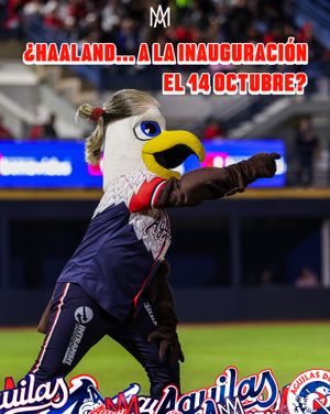 Image post by @aguilasdemxli on Instagram