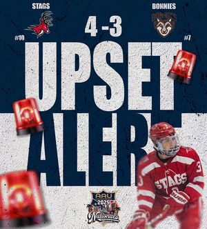 Image post by @aau_collegehockey on Instagram
