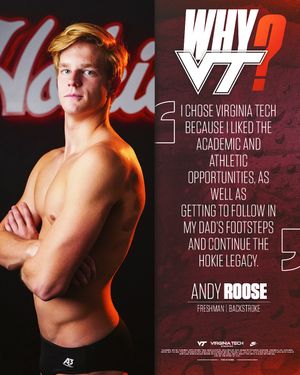 Image post by @hokiesswimdive on Instagram
