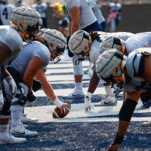 Image post by @augiefb on Instagram