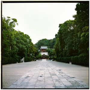 Image post by @avanash_e on Instagram