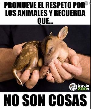 Image post by @redlatina on Facebook