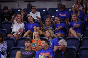 Image post by @GatorsVB on Twitter