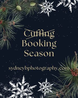 Image post by @sydneybphotography on Instagram