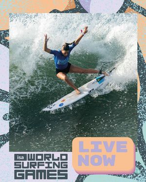 Image post by @isasurfing on Instagram