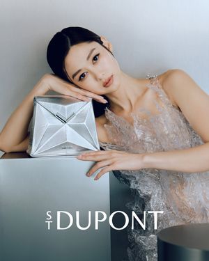 Image post by @stdupont on Instagram