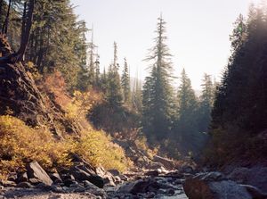 Image post by @lostfoxcreative on Instagram