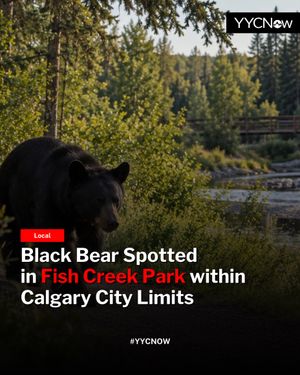 Image post by @yycnow on Instagram