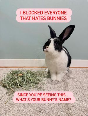 Image post by @petsmart on Instagram