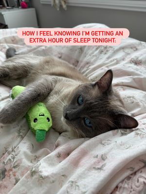 Image post by @petsmart on Instagram