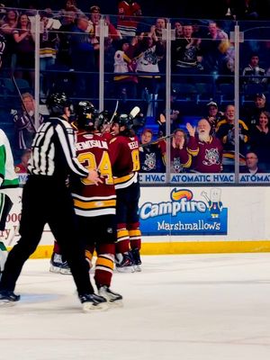 Image post by @chicagowolves on Instagram