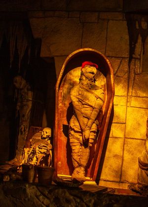 Image post by @UniversalORL on Twitter