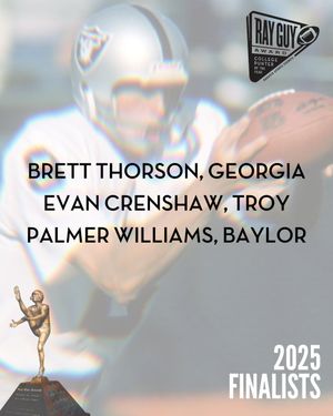 Image post by @RayGuyAward on Twitter