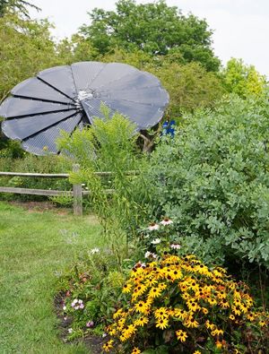 Image post by @detroitzoo on Instagram