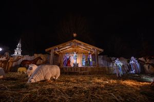 Image post by @highpointu on Instagram