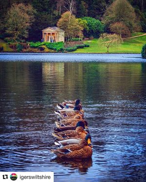 Image post by @candmclub on Instagram