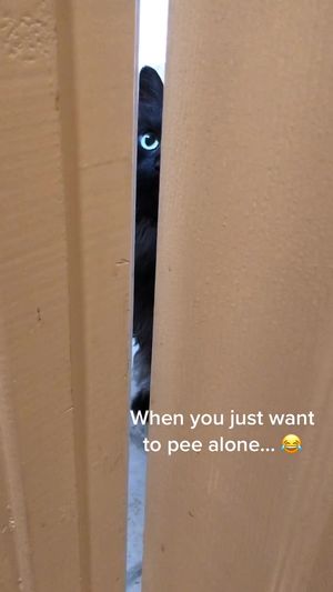 Video post by @livinglocurto on TikTok