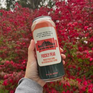 Image post by @badlanderbeverages on Instagram