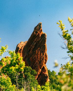 Image post by @shotbythejohnb on Instagram