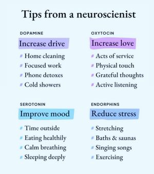 Image post by @healwithmarianna on Instagram