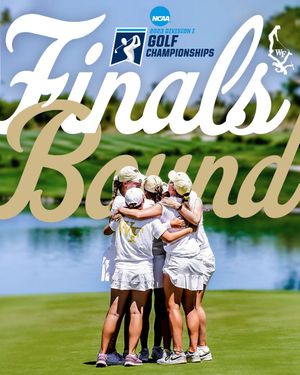 Image post by @WakeWGolf on Twitter
