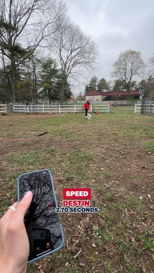 Video post by @newenglandpatriots on Facebook