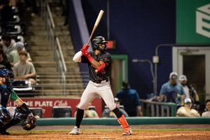 Image post by @GoSquirrels on Twitter