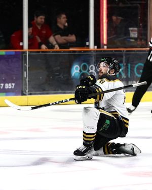 Image post by @thenottinghampanthers on Instagram