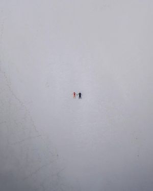 Image post by @fubiz on Instagram