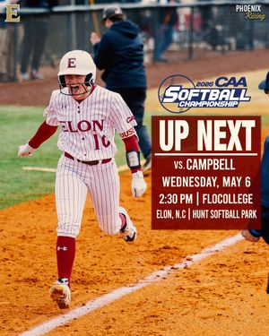 Image post by @elonsoftball on Instagram