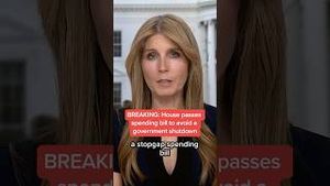 Video post by @msnbc on YouTube