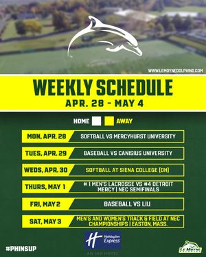 Image post by @lemoynedolphins on Instagram