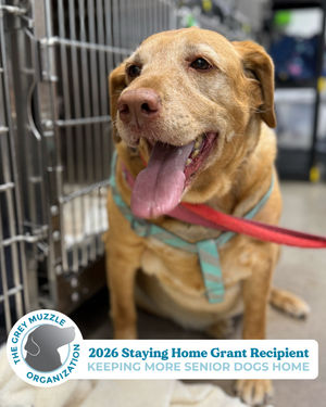 Image post by @spokhumanesoc on Instagram