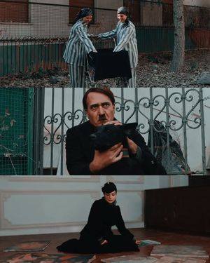 Image post by @nimaaxs on Instagram