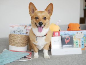 Image post by @aircorg on Instagram