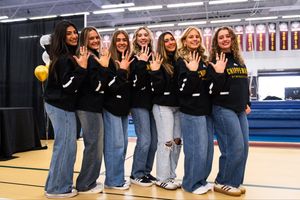 Image post by @AmyFolan on Twitter