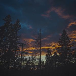 Image post by @drsquatch on Instagram