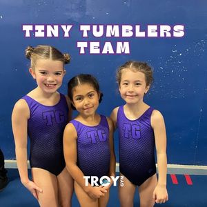 Image post by @troygymnastics on Instagram