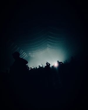 Image post by @pytnabnr on Instagram