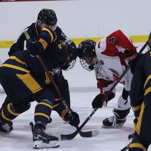 Image post by @calicehockey on Instagram