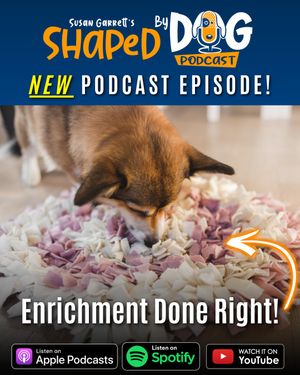 Image post by @susangarrettdogsthat on Instagram