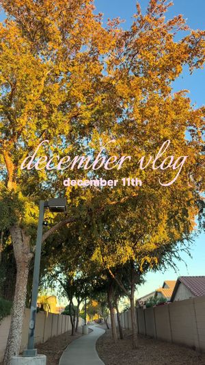Video post by @lexy.meyers on TikTok